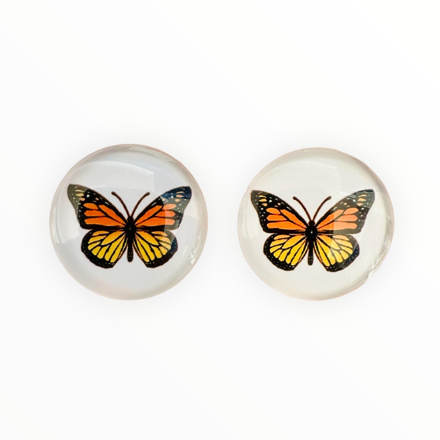 20mm Bugs with Background image in Glass, Glue on - See Color Options