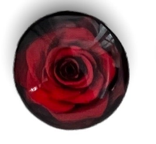 20mm Roses with Background, Glue on, Glass Gem - See Color Options