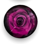 20mm Roses with Background, Glue on, Glass Gem - See Color Options
