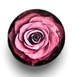 20mm Roses with Background, Glue on, Glass Gem - See Color Options