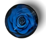 20mm Roses with Background, Glue on, Glass Gem - See Color Options