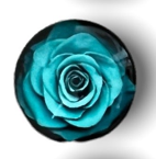 20mm Roses with Background, Glue on, Glass Gem - See Color Options