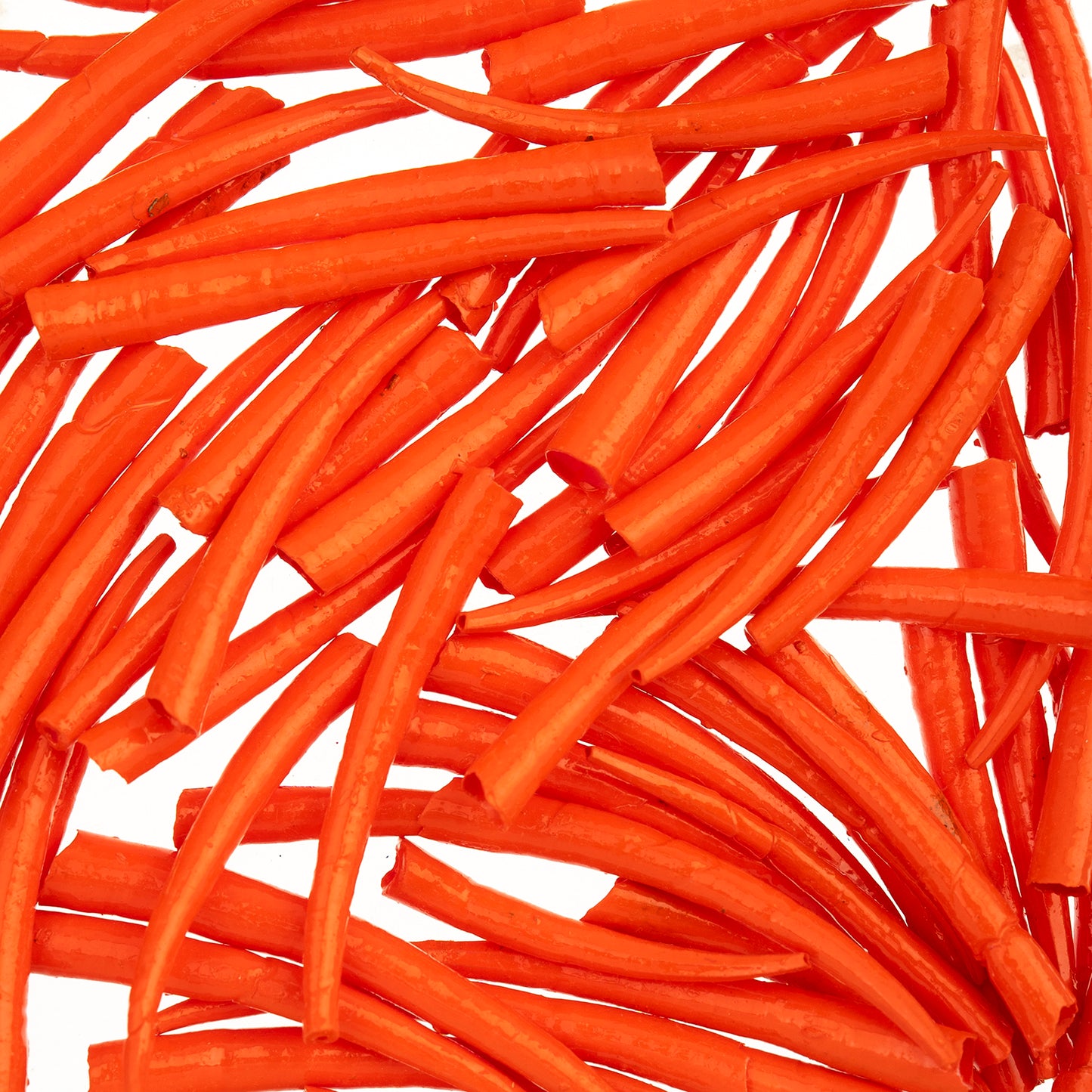 Dentalium Shell, Smooth, Bright - 25g - 1in to 1.5in - See Color Options