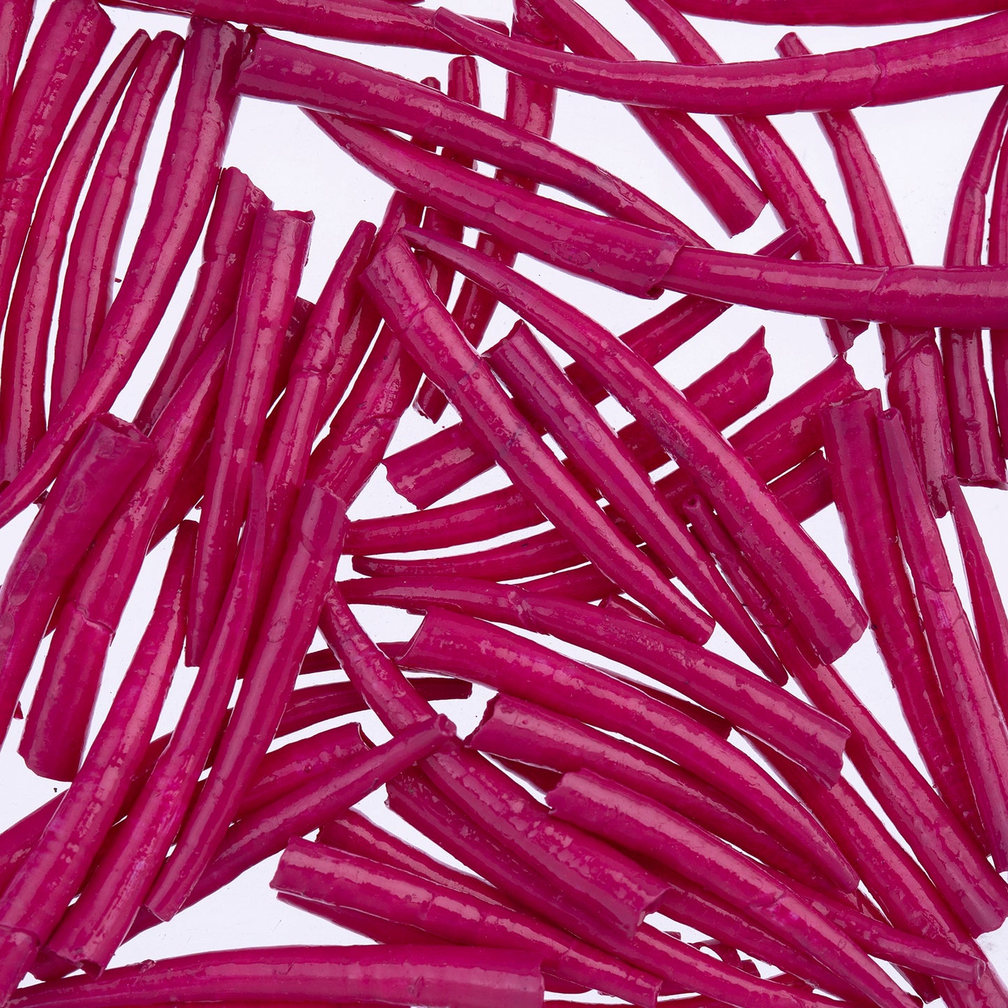 Dentalium Shell, Smooth, Bright - 25g - 1in to 1.5in - See Color Options