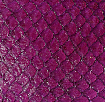 Cuir de poisson - Brillant 10 pouces - Voir les options de couleur