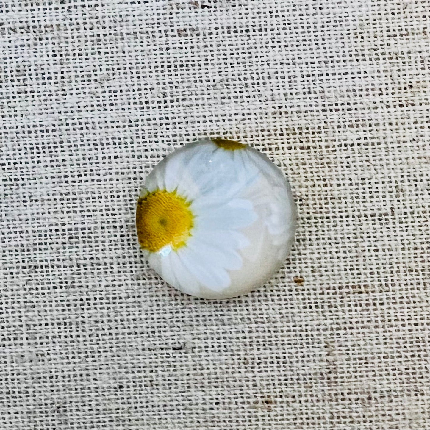 20mm Flower with Background image in Glass, Glue on - See Color Options