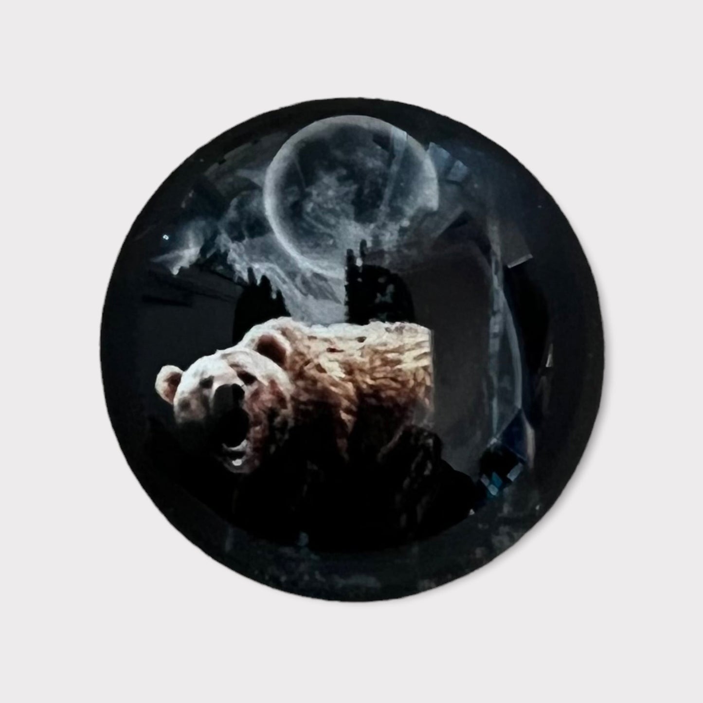 20mm Animal with Background image in Glass, Glue on - See Color Options