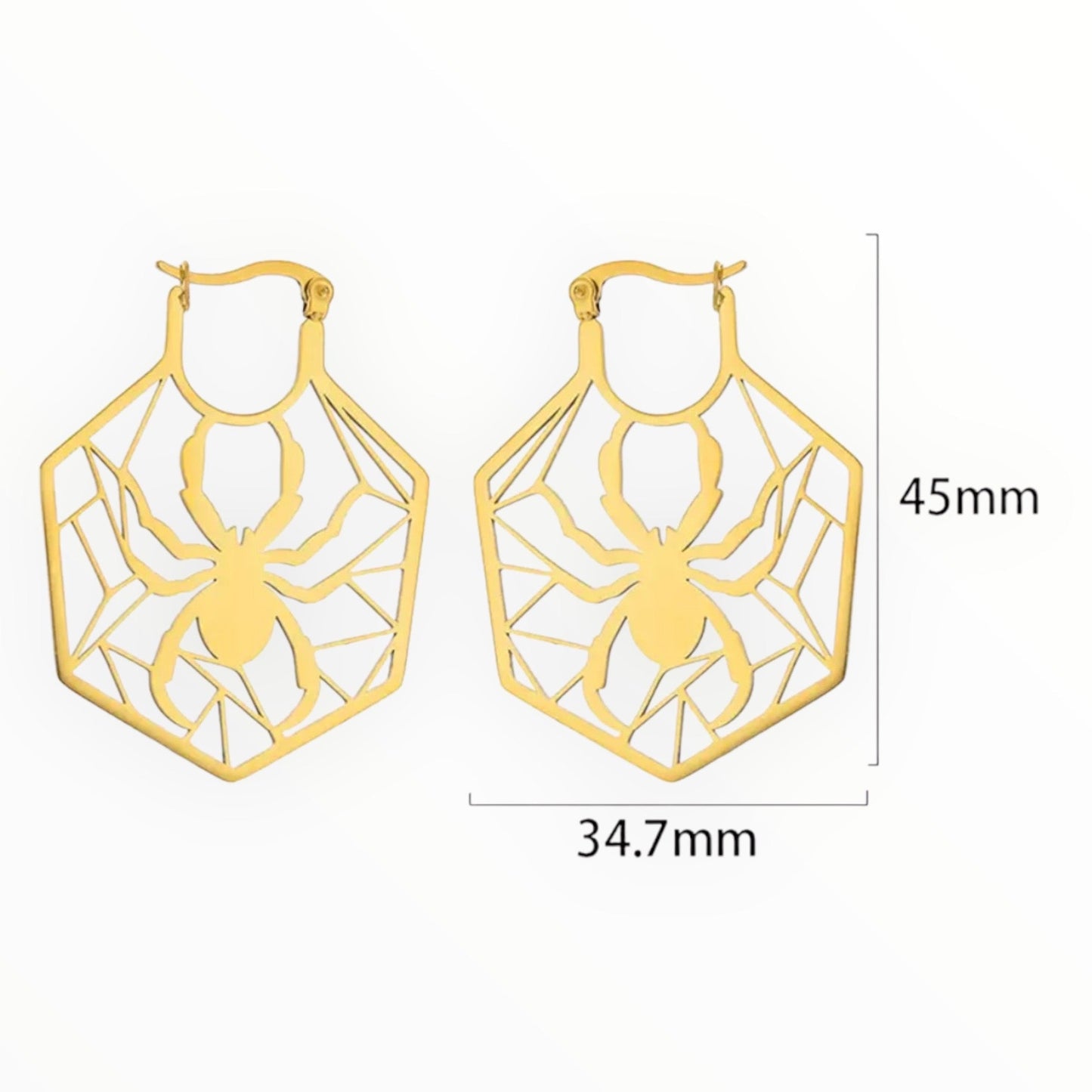 Stainless Steel Earrings with Spider in web - See Color Options