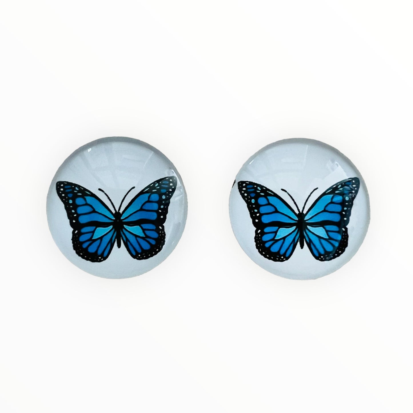 20mm Bugs with Background image in Glass, Glue on - See Color Options
