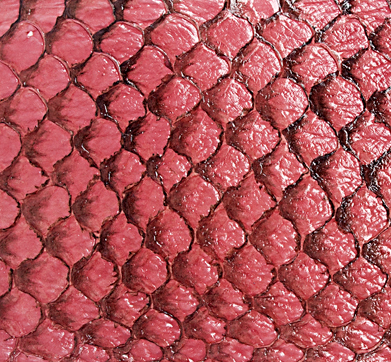 Cuir de poisson - Brillant 10 pouces - Voir les options de couleur