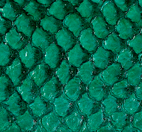 Cuir de poisson - Brillant 10 pouces - Voir les options de couleur