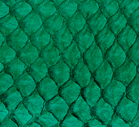 Cuir de poisson - Daim 10 pouces - Voir les options de couleur