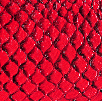 Cuir de poisson - Brillant 10 pouces - Voir les options de couleur