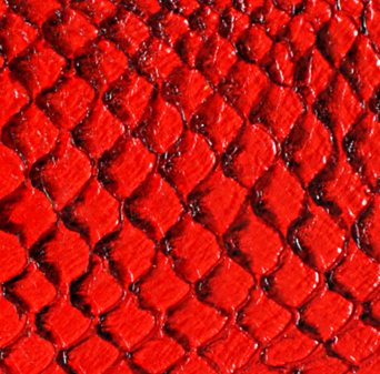 Cuir de poisson - Brillant 10 pouces - Voir les options de couleur
