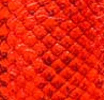 Cuir de poisson - Brillant 10 pouces - Voir les options de couleur