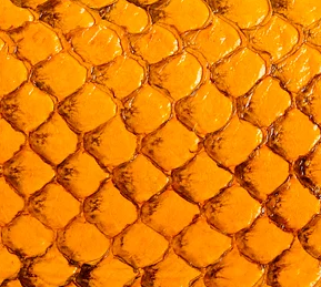Cuir de poisson - Brillant 10 pouces - Voir les options de couleur
