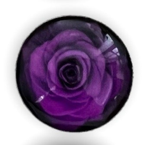 20mm Roses with Background, Glue on, Glass Gem - See Color Options