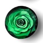 20mm Roses with Background, Glue on, Glass Gem - See Color Options