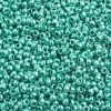 10/0 Preciosa Seed Beads Metallic Green
