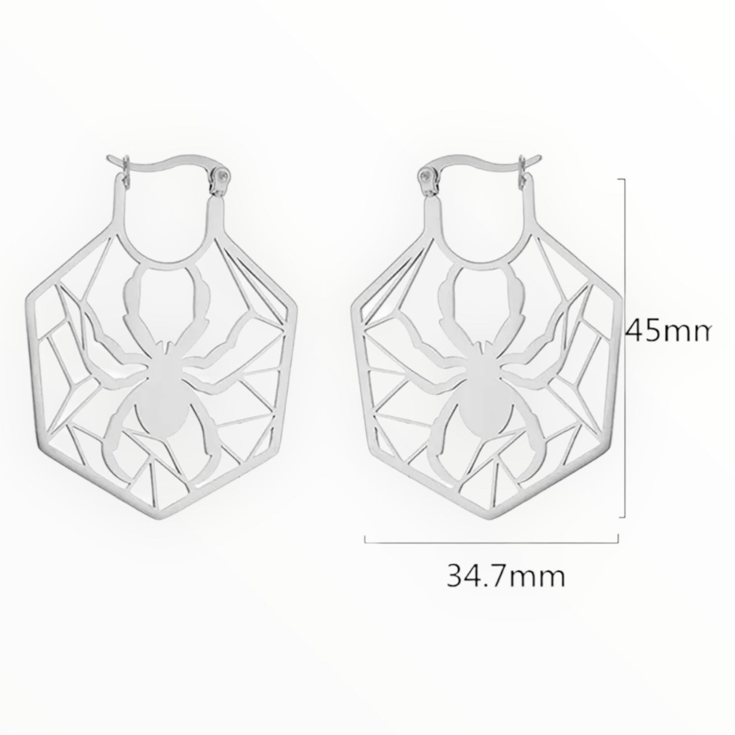 Stainless Steel Earrings with Spider in web - See Color Options