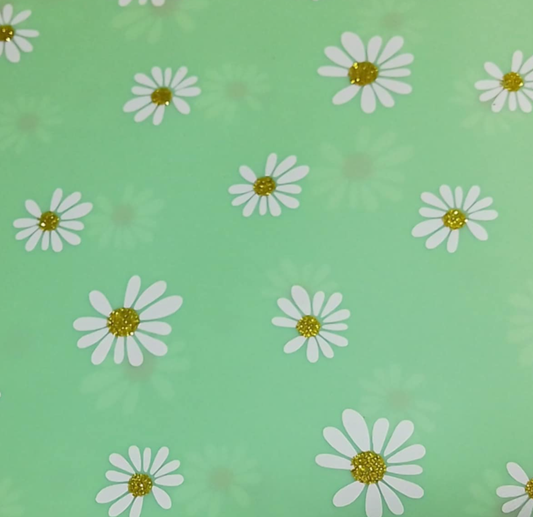 Transparent Daisy - Light Green - 8*12 Inch Plastic Backing Material