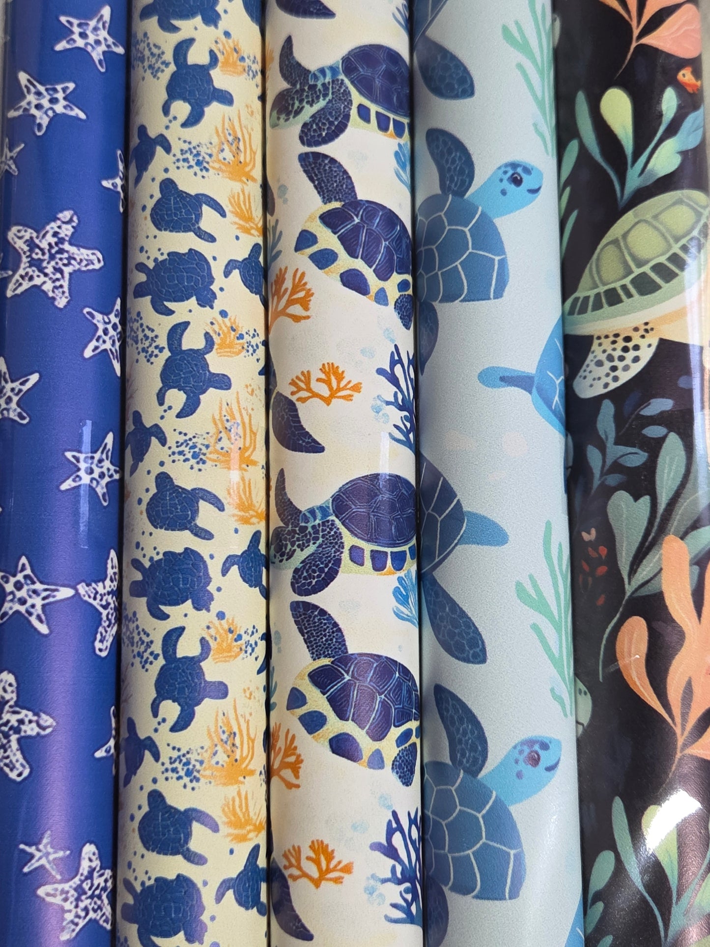 Sea Turtle Backing Set