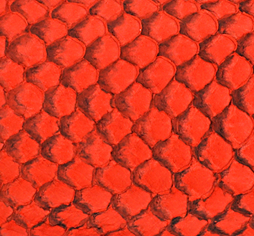 Cuir de poisson - Daim 10 pouces - Voir les options de couleur